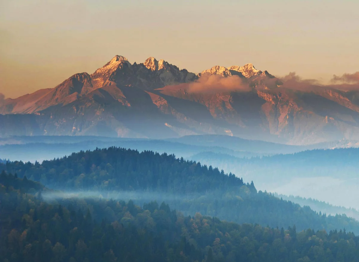 Szkolenia z obrony cywilnej i ochrony ludności: Klucz do bezpiecznej przyszłości