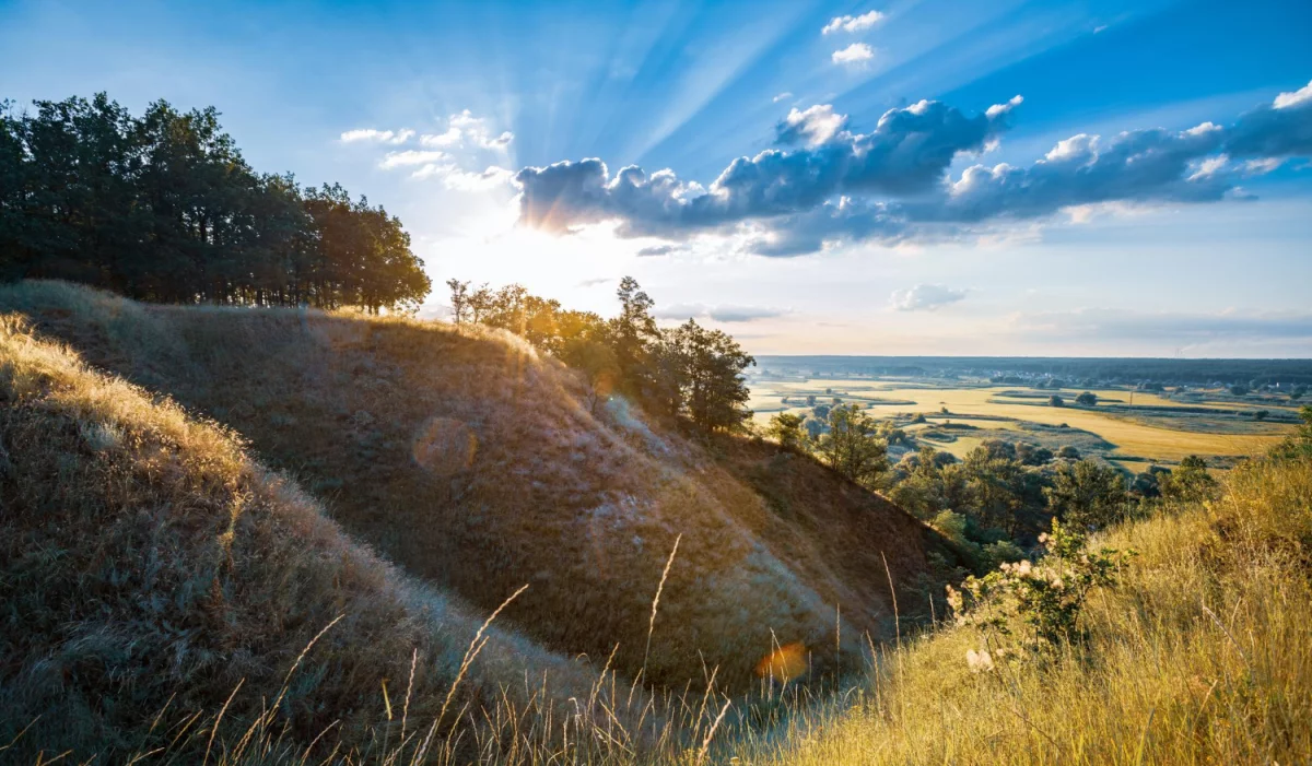 Ochrona środowiska dla firm z branży budownictwa: Kluczowe strategie i praktyki zrównoważonego rozwoju