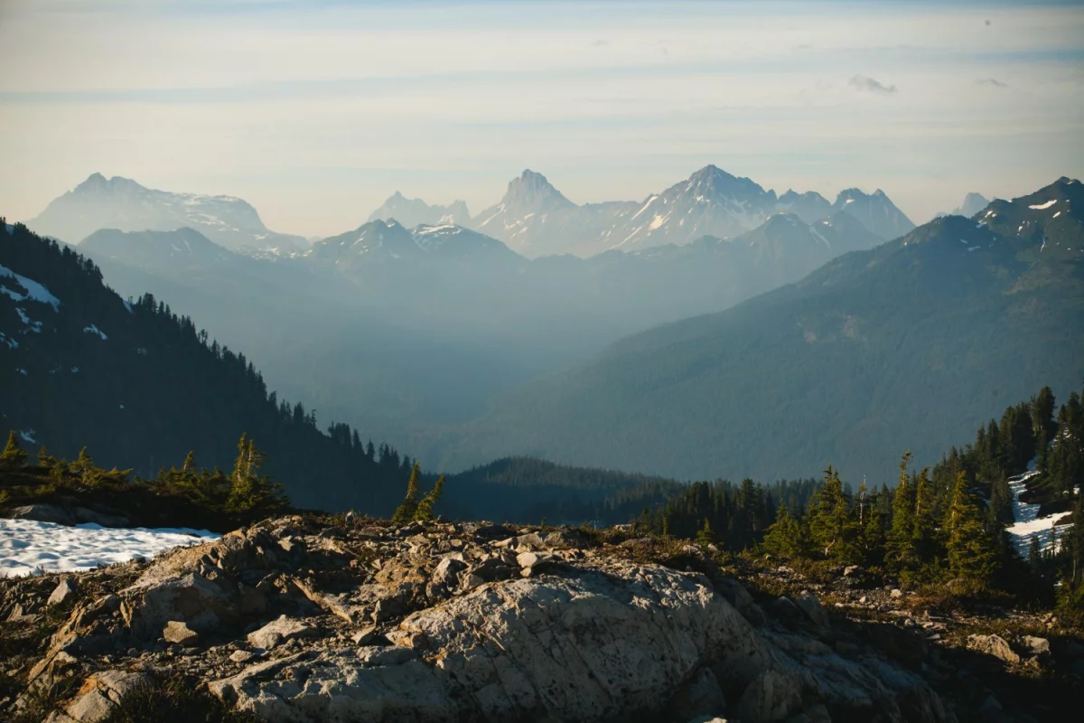 Jak skutecznie wdrożyć BDO w firmie transportowej: Kluczowe wyzwania i korzyści