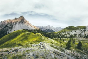 Outsourcing środowiskowy: Jak efektywne zarządzanie zasobami naturalnymi może wspierać zrównoważony rozwój