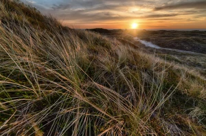 Ochrona środowiska w firmie: Kluczowe kroki ku zrównoważonemu rozwojowi